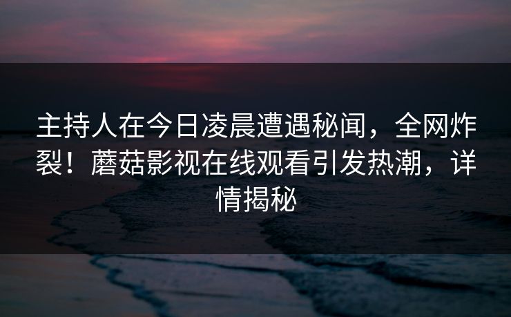主持人在今日凌晨遭遇秘闻，全网炸裂！蘑菇影视在线观看引发热潮，详情揭秘