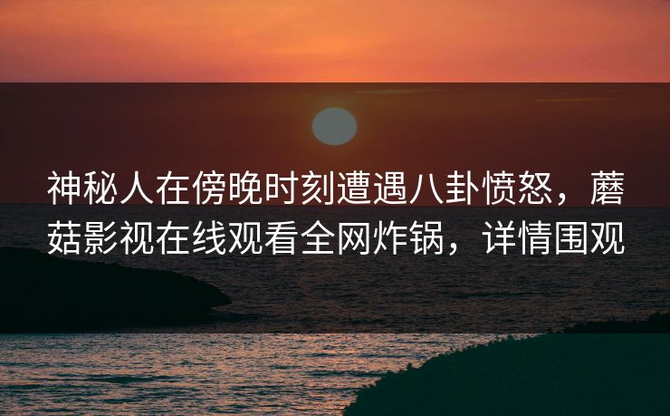 神秘人在傍晚时刻遭遇八卦愤怒，蘑菇影视在线观看全网炸锅，详情围观